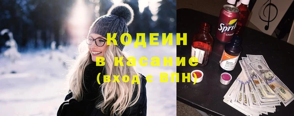 МДПВ Ельня