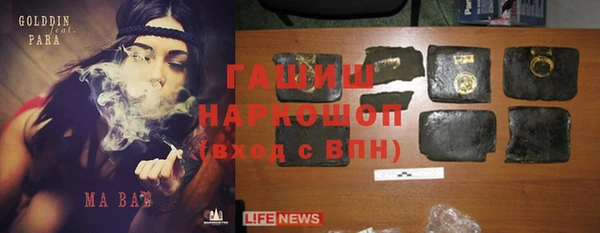 МДПВ Ельня