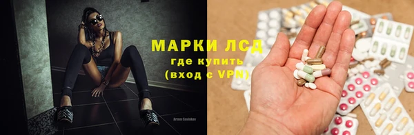 МДПВ Ельня