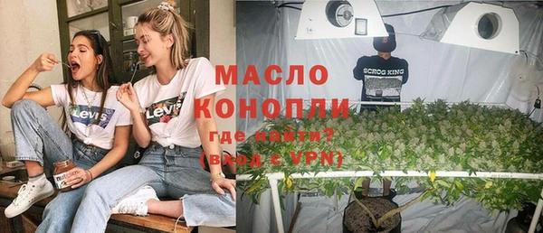 МДПВ Ельня