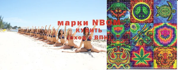 МДПВ Ельня