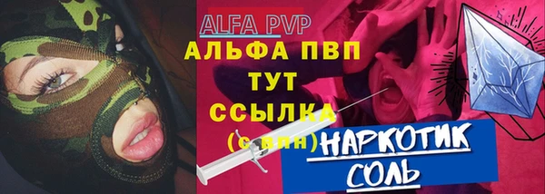МДПВ Ельня