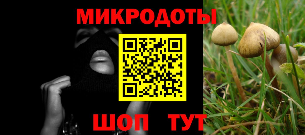 Псилоцибиновые грибы Cubensis Рыбинск